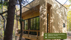 Cabin Zoobox 62